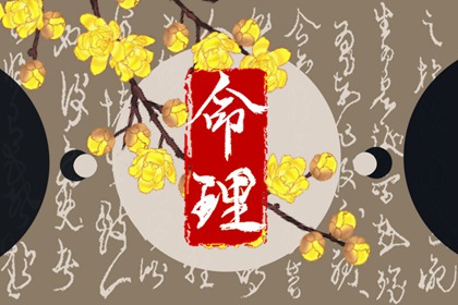 电脑排八字,卦生辰八字算命,生辰算八字,算生辰八字,八字元亨利贞